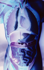 Prostate Cancer Identification