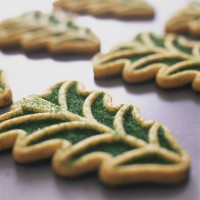 Holiday Eating